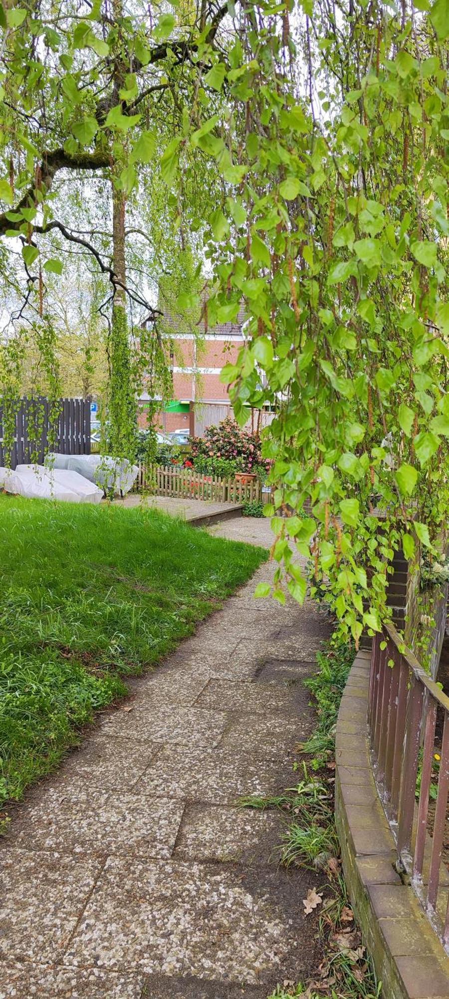 Ferienwohnung Im Herzen Der Lueneburger Heide Soltau Exteriér fotografie